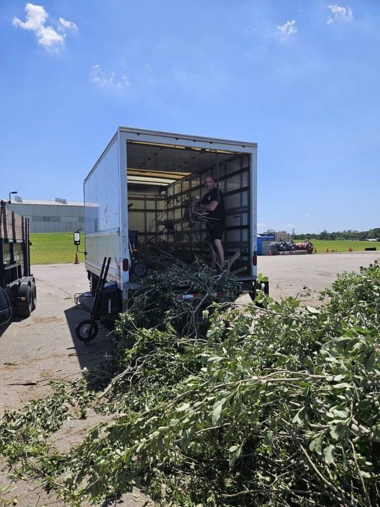 Landscaping Removal Tampa FL