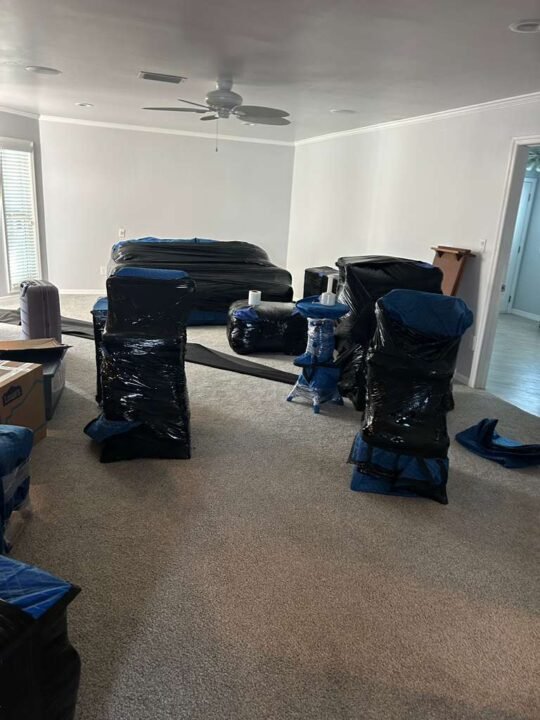 moving services tampa