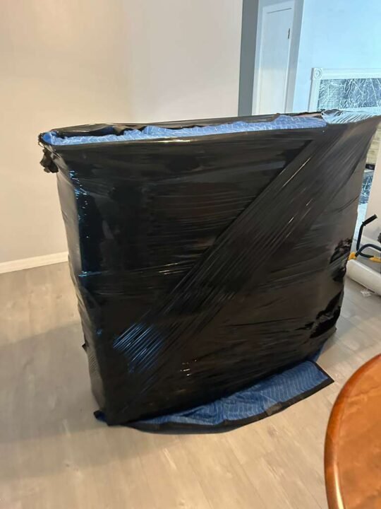 moving services tampa