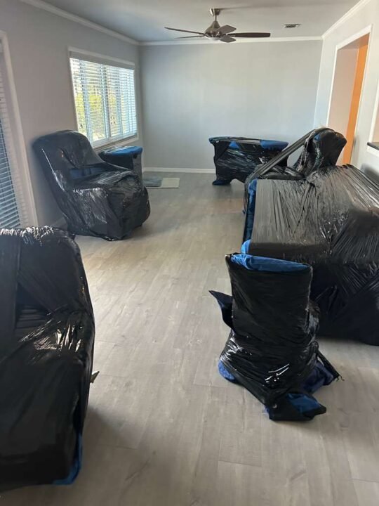 moving services tampa