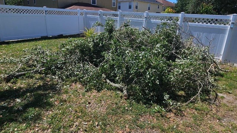 Yard Waste & Storm Debris