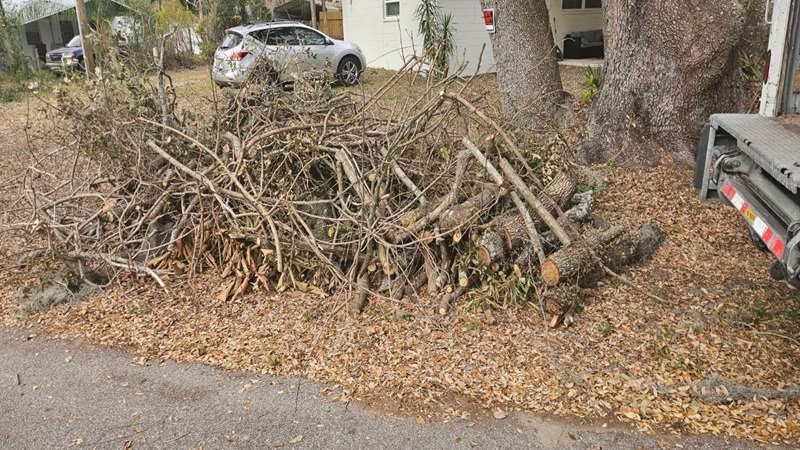 Yard Waste Removal