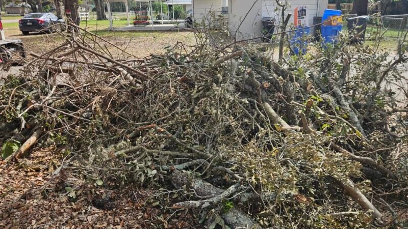 Yard Waste Removal