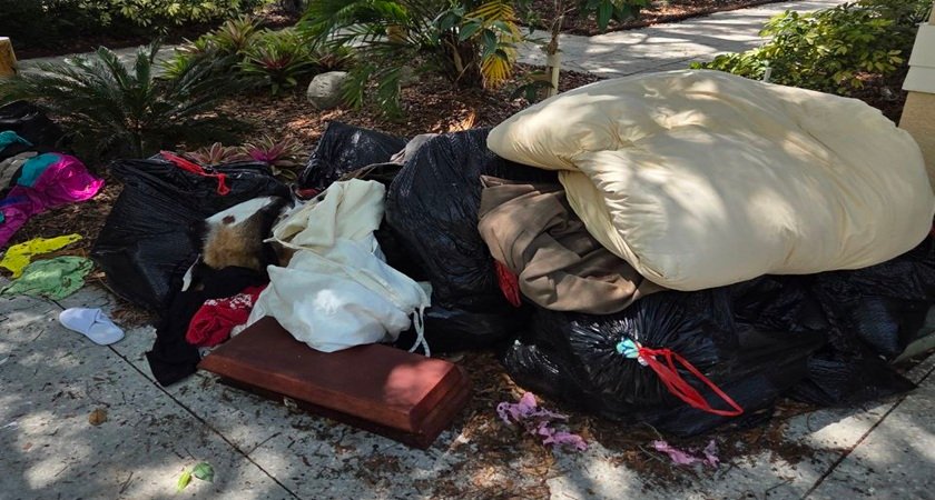 property cleanouts Tampa